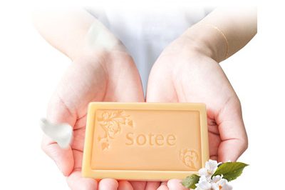 Vegetable Laundry Soap Factory (1)_副本